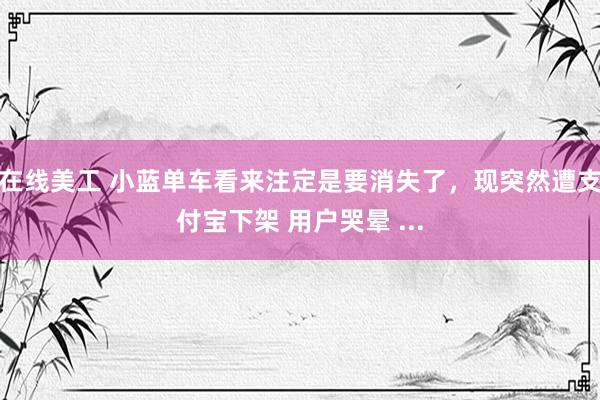 在线美工 小蓝单车看来注定是要消失了，现突然遭支付宝下架 用户哭晕 ...