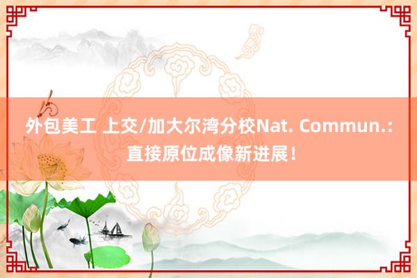 外包美工 上交/加大尔湾分校Nat. Commun.: 直接原位成像新进展！